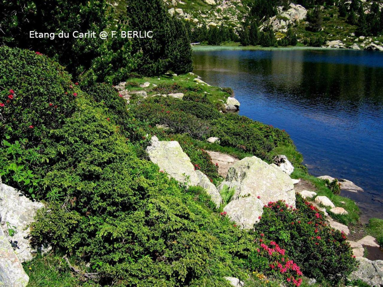 Camping Las Asperas*** Palau-de-Cerdagne Εξωτερικό φωτογραφία